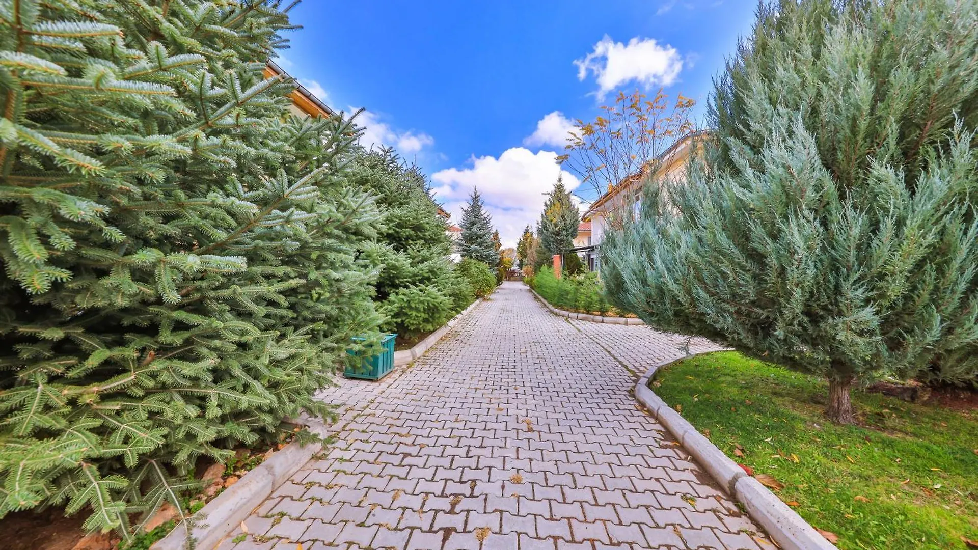 Afyon Dundar Thermal Villa Afyonkarahisar